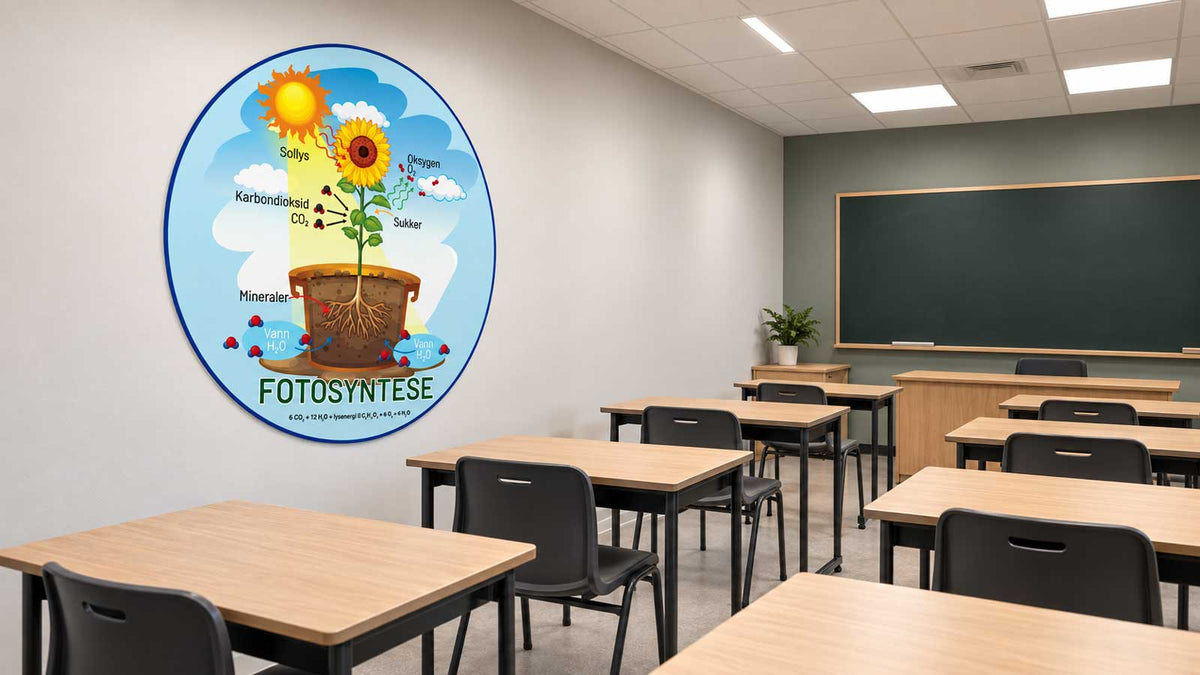 Veggdekor som illustrerer fotosyntesen med sollys, vann og oksygen
