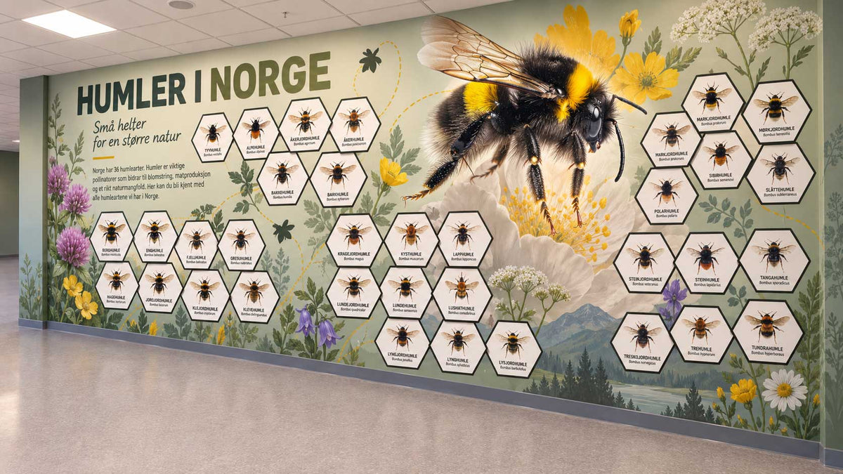 Veggdekor med humler som pollinerer blomster – biologisk mangfold og insekter visualisert på skoleveggen